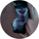 bogumilaadamska bogumilaadamska